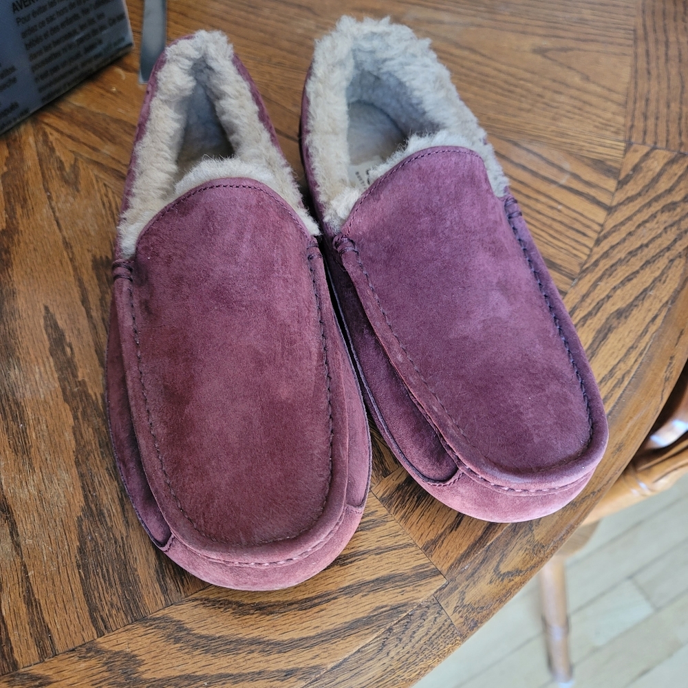 Men Ugg Ascot Slippers